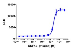 Eurofins Discoverx&nbsp;PathHunter U2OS mCXCR7 β-Arrestin Cell Line, 2 vials. (93-0689C3)