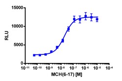 Eurofins Discoverx&nbsp;PathHunter eXpress MCHR2 U2OS β-Arrestin GPCR Assay, 2-Plate Kit. (93-0691E3CP5M)