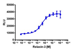 Eurofins Discoverx&nbsp;PathHunter eXpress RXFP3 CHO-K1 β-Arrestin GPCR Assay, 10-Plate Kit. (93-0692E2CP2L)