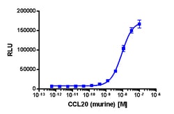 Eurofins Discoverx PathHunter CHO-K1 mCCR6 β-Arrestin Cell Line, 2 vials.