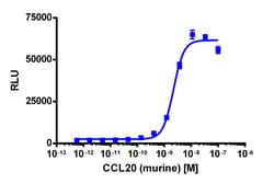 Eurofins Discoverx&nbsp;PathHunter eXpress mCCR6 CHO-K1 β-Arrestin GPCR Assay, 2-Plate Kit. (93-0694E2MCP2M)