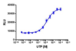 Eurofins Discoverx PathHunter U2OS mP2RY12 β-Arrestin Cell Line, 2 vials.