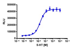 Eurofins Discoverx&nbsp;PathHunter U2OS HTR5A β-Arrestin Cell Line, 2 vials. (93-0700C3)