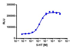 Eurofins Discoverx&nbsp;PathHunter eXpress HTR5A U2OS β-Arrestin GPCR Assay, 2-Plate Kit. (93-0700E3CP19M)