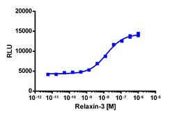 Eurofins Discoverx&nbsp;PathHunter eXpress RXFP4 CHO-K1 β-Arrestin GPCR Assay, 10-Plate Kit. (93-0701E2CP0L)