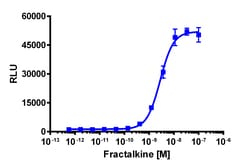 Eurofins Discoverx PathHunter CHO-K1 mCX3CR1 β-Arrestin Cell Line, 2 vials.