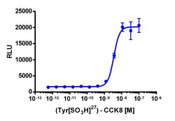 Eurofins Discoverx&nbsp;PathHunter CCKBR Activated GPCR Internalization U2OS Cell Line, 2 vials. (93-0708C3)