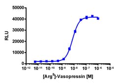 Eurofins Discoverx PathHunter AVPR2 Activated GPCR Internalization U2OS