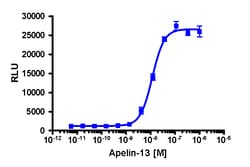 Eurofins Discoverx PathHunter AGTRL1 Activated GPCR Internalization U2OS
