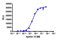 Eurofins Discoverx PathHunter eXpress AGTRL1 Activated GPCR Internalization