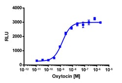 Eurofins Discoverx PathHunter OXTR Activated GPCR Internalization U2OS