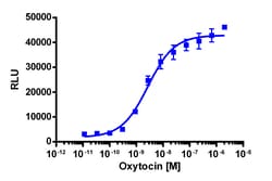 Eurofins Discoverx&nbsp;PathHunter eXpress OXTR Activated GPCR Internalization Assay, 2-Plate Kit. (93-0715E3CP0M)