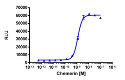 Eurofins Discoverx&nbsp;PathHunter CMKLR1 Activated GPCR Internalization U2OS Cell Line, 2 vials. (93-0720C3)