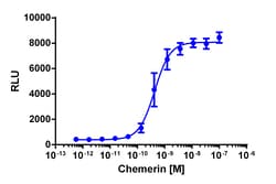 Eurofins Discoverx&nbsp;PathHunter eXpress CMKLR1 Activated GPCR Internalization Assay, 10pl Kit. (93-0720E3CP22L)