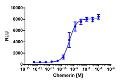 Eurofins Discoverx&nbsp;PathHunter eXpress CMKLR1 Activated GPCR Internalization Assay, 2pl Kit. (93-0720E3CP22M)