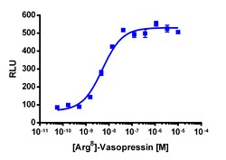 Eurofins Discoverx&nbsp;PathHunter eXpress AVPR1B Activated GPCR Internalization Assay, 2pl Kit. (93-0722E3CP5M)
