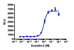 Eurofins Discoverx PathHunter GLP1R Activated GPCR Internalization U2OS