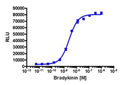 Eurofins Discoverx&nbsp;PathHunter BDKRB2 Activated GPCR Internalization U2OS Cell Line, 2 vials. (93-0725C3)