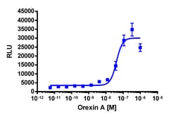 Eurofins Discoverx PathHunter HCRTR2 Total GPCR Internalization U2OS Cell