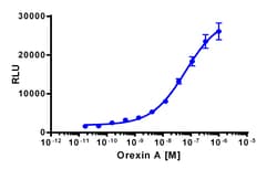 Eurofins Discoverx&nbsp;PathHunter eXpress HCRTR2 Total GPCR Internalization Assay, 10pl Kit. (93-0730E3CP0L)