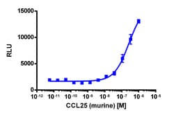 Eurofins Discoverx PathHunter CHO-K1 mCCR9 β-Arrestin Cell Line, 2 vials.