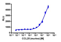 Eurofins Discoverx&nbsp;PathHunter eXpress mCCR9 CHO-K1 β-Arrestin GPCR Assay, 2-Plate Kit. (93-0734E2MCP2M)