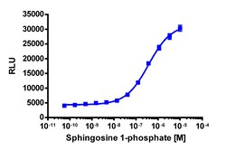 Eurofins Discoverx&nbsp;PathHunter EDG5 Activated GPCR Internalization U2OS Cell Line, 2 vials. (93-0735C3)