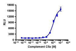 Eurofins Discoverx&nbsp;PathHunter C5L2 Activated GPCR Internalization U2OS Cell Line, 2 vials. (93-0736C3)
