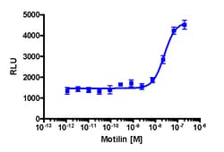 Eurofins Discoverx&nbsp;PathHunterNR Activated GPCR Internalization U2OS Cell Line, 2 vials. (93-0737C3)