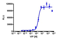 Eurofins Discoverx&nbsp;PathHunter VIPR1 Activated GPCR Internalization U2OS Cell Line, 2 vials. (93-0739C3)