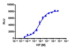 Eurofins Discoverx&nbsp;PathHunter eXpress VIPR1 Activated GPCR Internalization Assay, 10pl Kit. (93-0739E3CP5L)