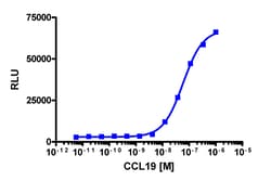 Eurofins Discoverx&nbsp;PathHunter CCR7 Activated GPCR Internalization U2OS Cell Line, 2 vials. (93-0740C3)