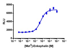 Eurofins Discoverx PathHunter OPRM1 Total GPCR Internalization U2OS Cell Line, 2 vials. (93-0745C3)