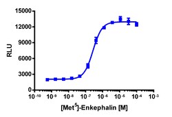 Eurofins Discoverx&nbsp;PathHunter eXpress OPRM1 Total GPCR Internalization Assay, 2-Plate Kit. (93-0745E3CP5M)