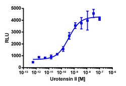 Eurofins Discoverx&nbsp;PathHunter eXpress UTR2 Total GPCR Internalization Assay, 10-Plate Kit. (93-0746E3CP5L)