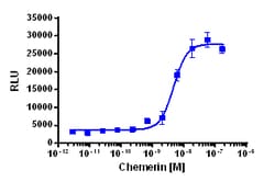 Eurofins Discoverx PathHunter GPR1 Total GPCR Internalization U2OS Cell