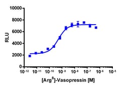 Eurofins Discoverx PathHunter AVPR1A Total GPCR Internalization U2OS Cell