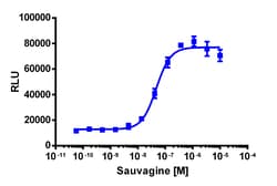 Eurofins Discoverx&nbsp;PathHunter CRHR2 Activated GPCR Internalization U2OS Cell Line, 2 vials. (93-0752C3)