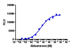 Eurofins Discoverx&nbsp;PathHunter CHO-K1 MR Protein Interaction Cell Line, 2 vials. (93-0758C2)