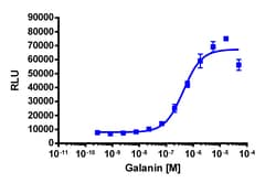 Eurofins Discoverx&nbsp;PathHunter CHO-K1 GALR2 β-Arrestin Cell Line, 2 vials. (93-0759C2)