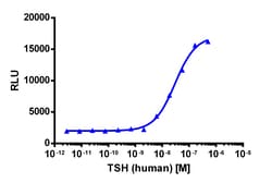 Eurofins Discoverx&nbsp;PathHunter U2OS TSHR (Long Isoform) β-Arrestin Cell Line, 2 vials. (93-0760C3)
