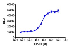 Eurofins Discoverx PathHunter PTHR2 Total GPCR Internalization U2OS Cell Line, 2 vials. (93-0763C3)