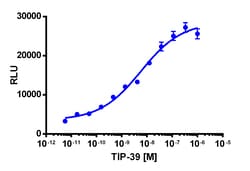 Eurofins Discoverx&nbsp;PathHunter eXpress PTHR2 Total GPCR Internalization Assay, 2pl Kit. (93-0763E3CP0M)