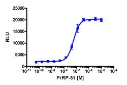 Eurofins Discoverx&nbsp;PathHunter PRLHR Activated GPCR Internalization U2OS Cell Line, 2 vials. (93-0766C3)
