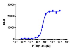 Eurofins Discoverx PathHunter PTHR1 Activated GPCR Internalization U2OS