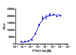 Eurofins Discoverx PathHunter eXpress PTHR1 Activated GPCR Internalization
