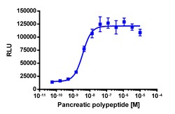 Eurofins Discoverx&nbsp;PathHunter CHO-K1 mPPYR1 (mNPY4R) β-Arrestin Cell Line, 2 vials. (93-0774C2)