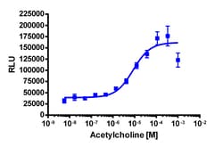 Eurofins Discoverx&nbsp;PathHunter CHRM3 Total Internalization U2OS Cell Line, 2 vials. (93-0775C3)