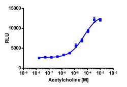 Eurofins Discoverx&nbsp;PathHunter eXpress CHRM3 Total Internalization Assay, 2pl Kit. (93-0775E3CP5M)