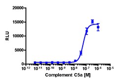Eurofins Discoverx&nbsp;PathHunter C5AR1 Activated GPCR Internalization U2OS Cell Line, 2 vials. (93-0777C3)